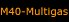 M40-Multigas