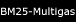 BM25-Multigas